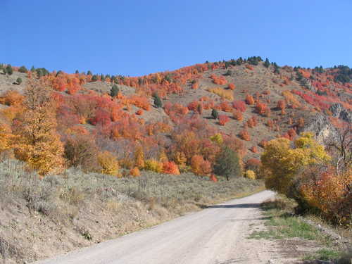 Dirt Road and Fall Colors at Oneida Narrows