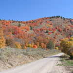 Dirt Road and Fall Colors at Oneida Narrows