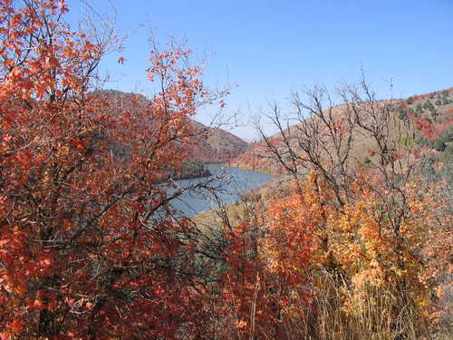 Fall Trees frame the Lake at Oneida Narrows