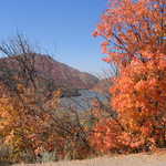 Fall