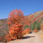 Fall