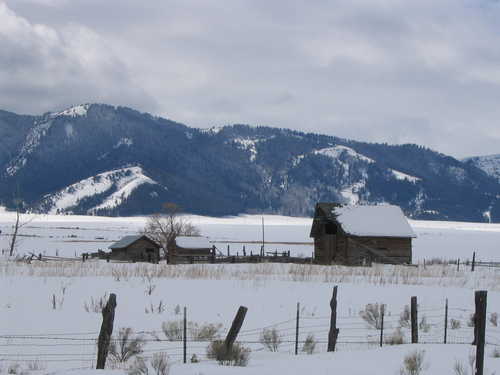 Snowy Barns and Fences