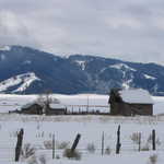 Snowy Barns and Fences