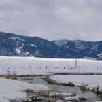 Rickety Fences and Soda Springs