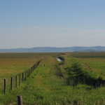 Green Pasture, Fences and Irrigation