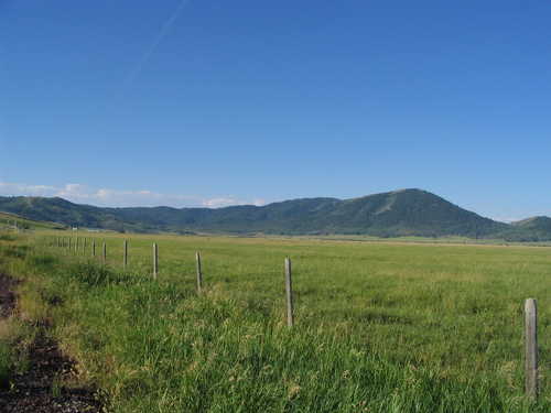 Fences, Mountains and Irrigated Pasture