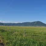 Fences, Mountains and Irrigated Pasture