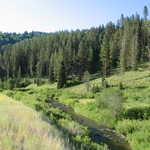 Mountain Stream in Caribou National Forest