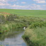 Green Rolling Hills and Winding Streams