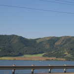 Bridge Guards and Water