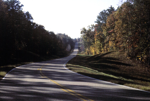 Winding through the Talladega National Forest
