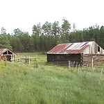 Rustic Meadow Cabin