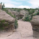 Bosque Canyon Trail