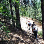 Hiking Crest Trail North