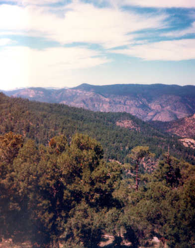 Looking over the Gila National Forest