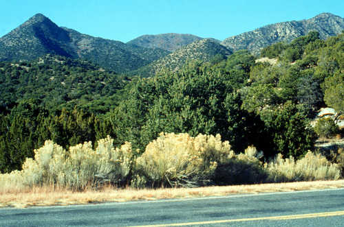 Ortiz Mountains