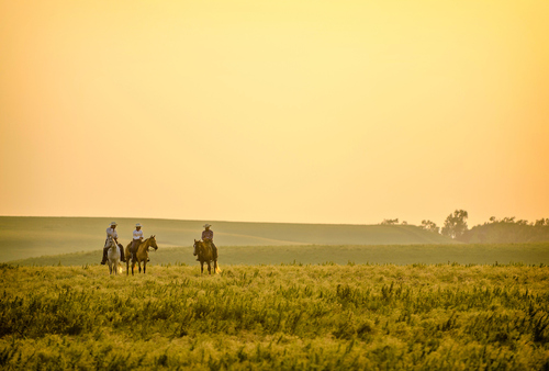 Cowboys in pasture near Flint Hills National Scenic Byway in Kansas.