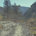 Dirt Roads of the Alpine Loop