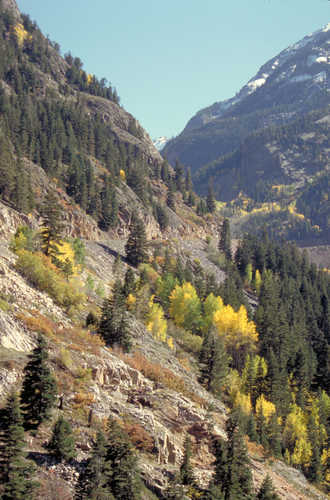 San Juan Mountainsides Speckled with Fall Color