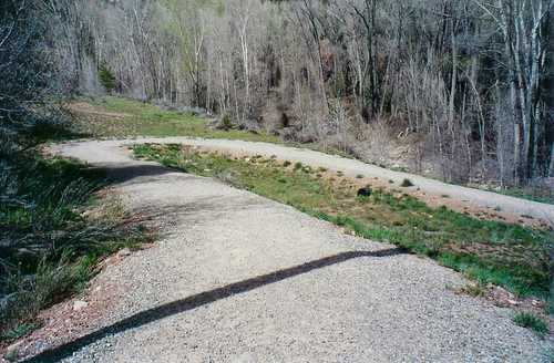 Path at Leopard Creek