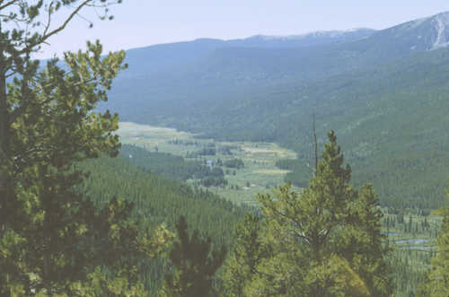Valley From the West Side of Milner Pass