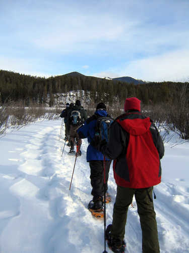 Ranger-led Snowshoe Tour in Rocky Mountain National Park