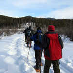 Ranger-led Snowshoe Tour in Rocky Mountain National Park