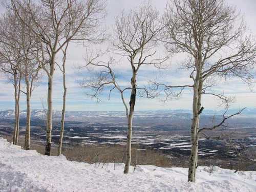 Winter View of the Valley Below