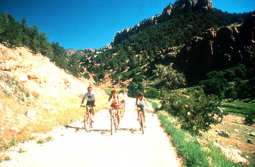 Bicyclists Along the Gold Belt Tour Byway