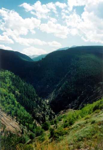 Steep Green Canyons in the Colorado Rockies