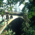 Historic Bridge on the Columbia River Highway
