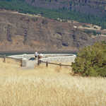 Overlook on the Columbia River