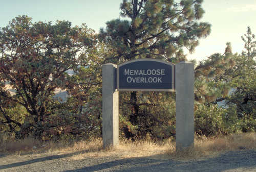 Memaloose Overlook Sign