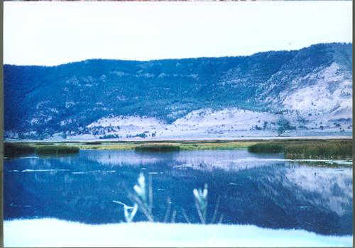 Frozen Landscape around Summer Lake