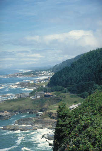 Coastal Shores of the Pacific