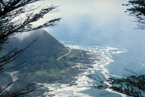 A Peek at the Pacific Shoreline