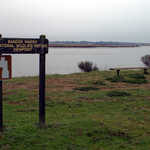 Viewpoint of Bandon Marsh