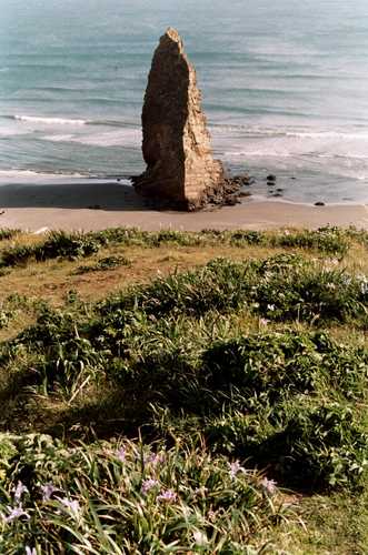 Pillar at Cape Blanco