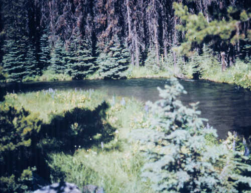 Upper Deschutes River