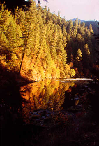 Autumn Reflections on the North Umpqua River