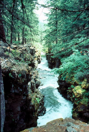 Upper Rogue Gorge