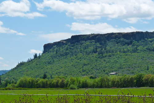 Lower Table Rock in the Spring