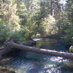 Log Crossing over Mill Creek