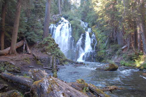 In Front of National Creek Falls