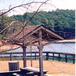 A Picnic Area at the J. Strom Thurmond Lake Recreation Area