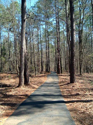 One Mile Interpretive Path at Ninety-Six National Historic Site