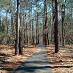 One Mile Interpretive Path at Ninety-Six National Historic Site