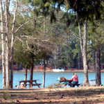 Picnicking at Hamilton Branch State Recreation Area