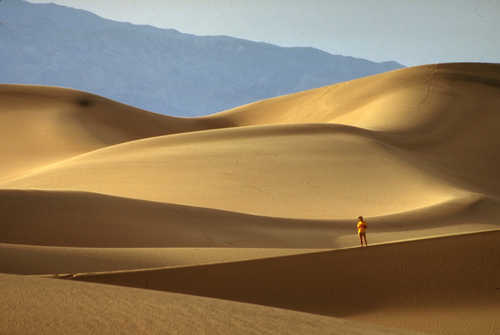 The Death Valley Sand Dunes