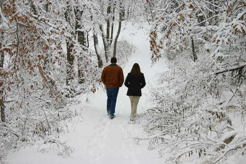 A Walk through Snowy Woods